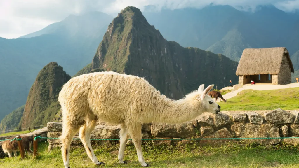 Camino Inca Clásico a Machu Picchu 4D/3N